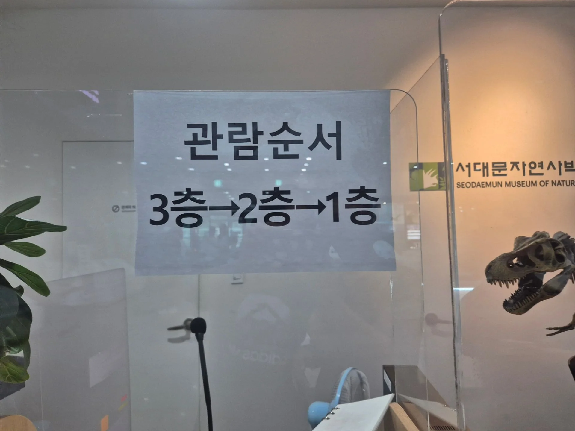 서대문자연사박물관 사진 3