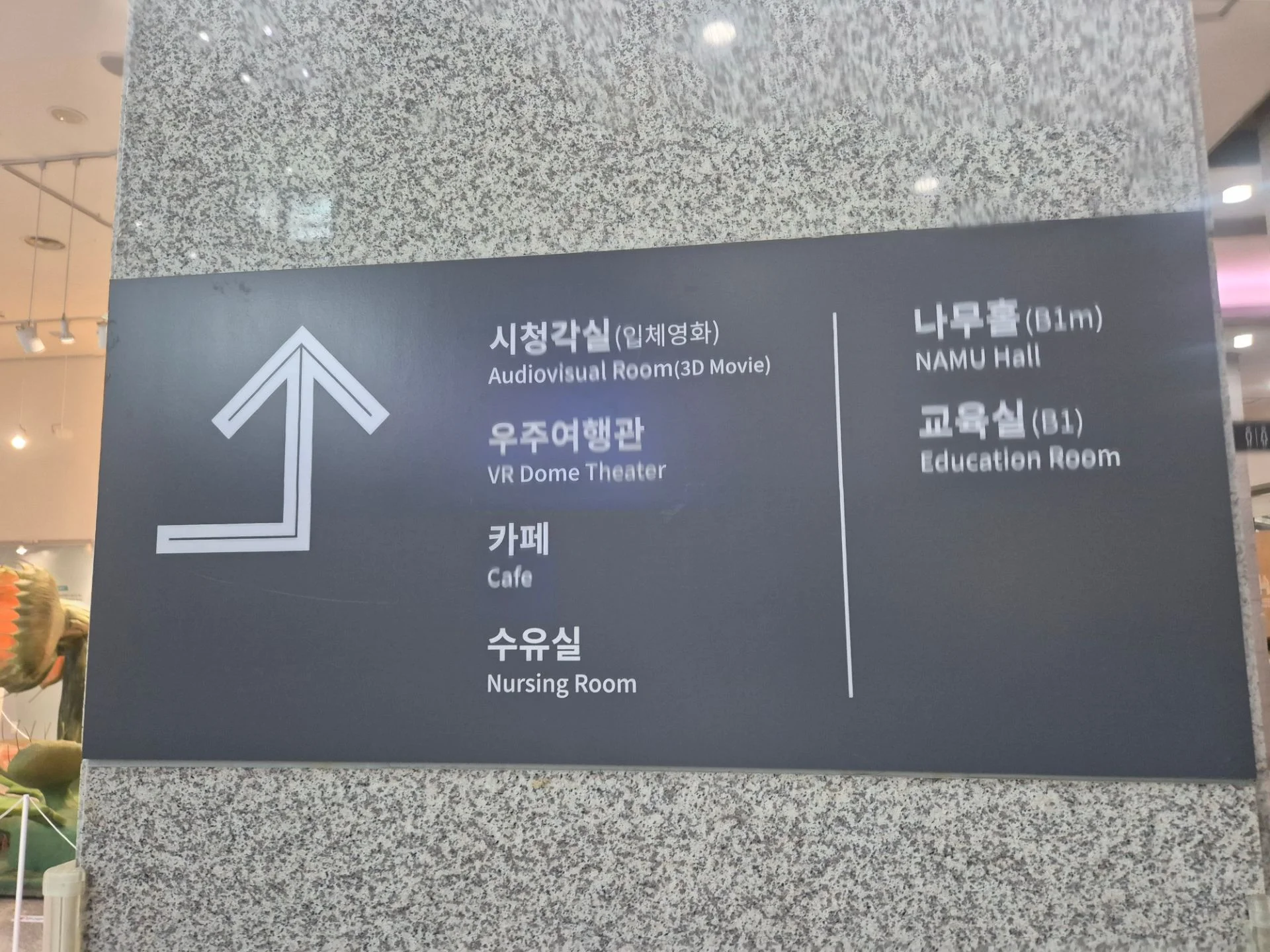 서대문자연사박물관 사진 6